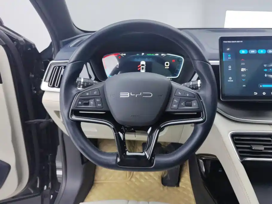 BYD PLUS New Energy — фото 15