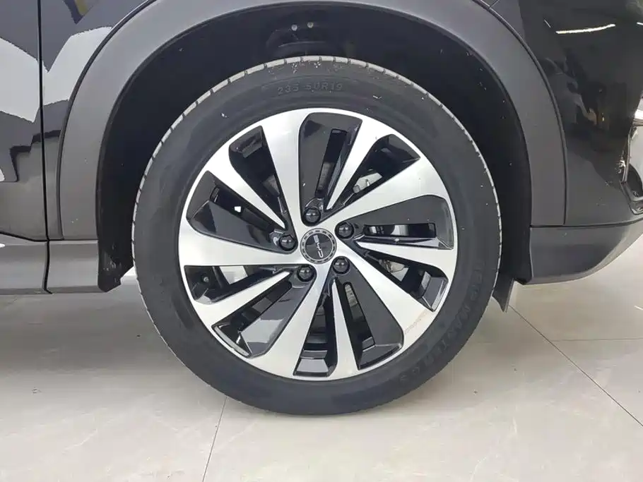 BYD PLUS New Energy — фото 6
