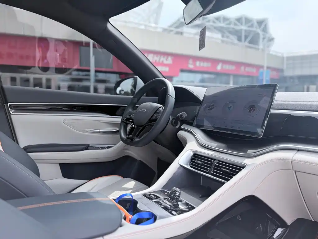 BYD PLUS New Energy — фото 13