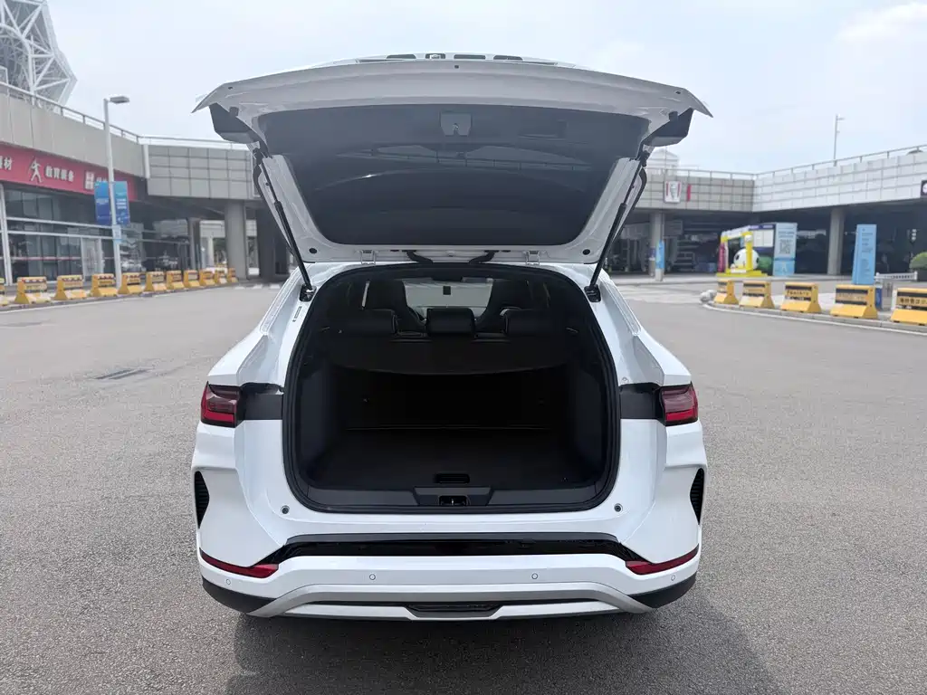 BYD PLUS New Energy — фото 10