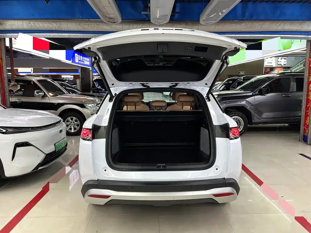 BYD L DM-i — фото 7