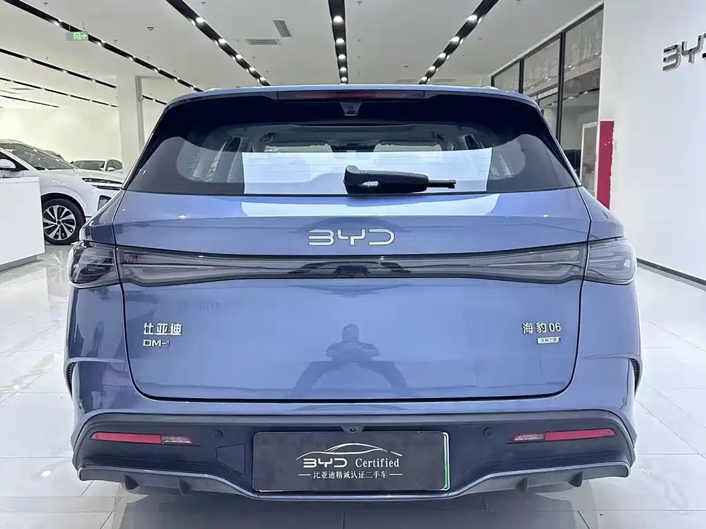 BYD Seal 06 DM-i Touring — фото 10