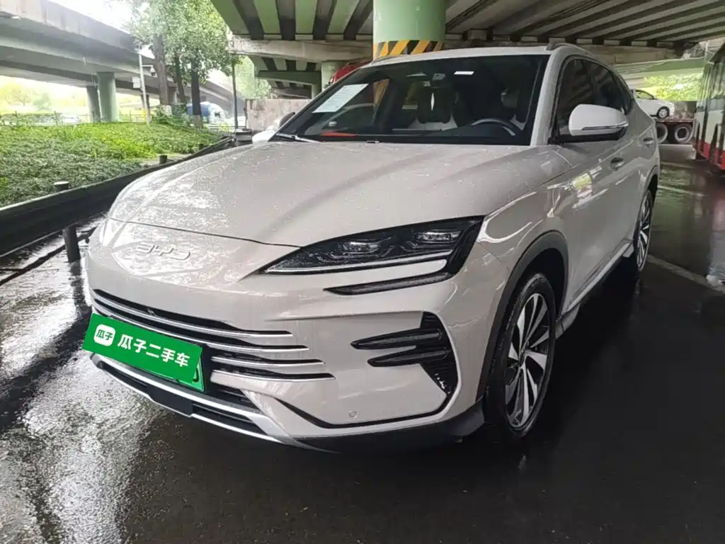 BYD PLUS New Energy — фото 2