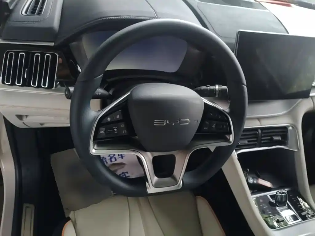 BYD PLUS New Energy — фото 11