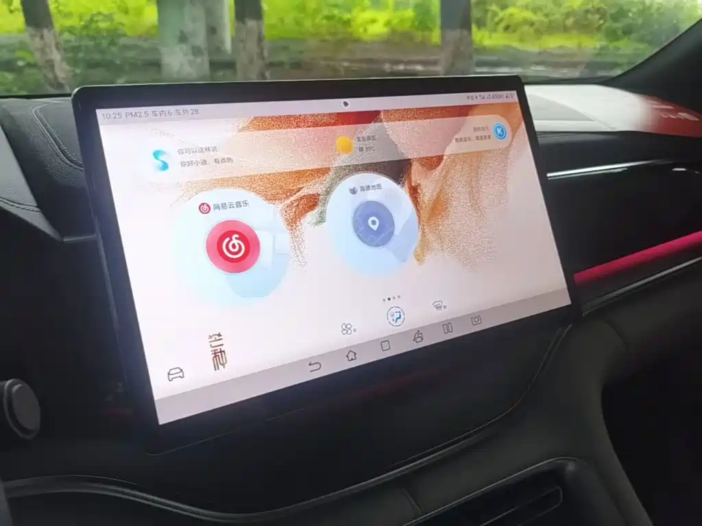 BYD PLUS New Energy — фото 13