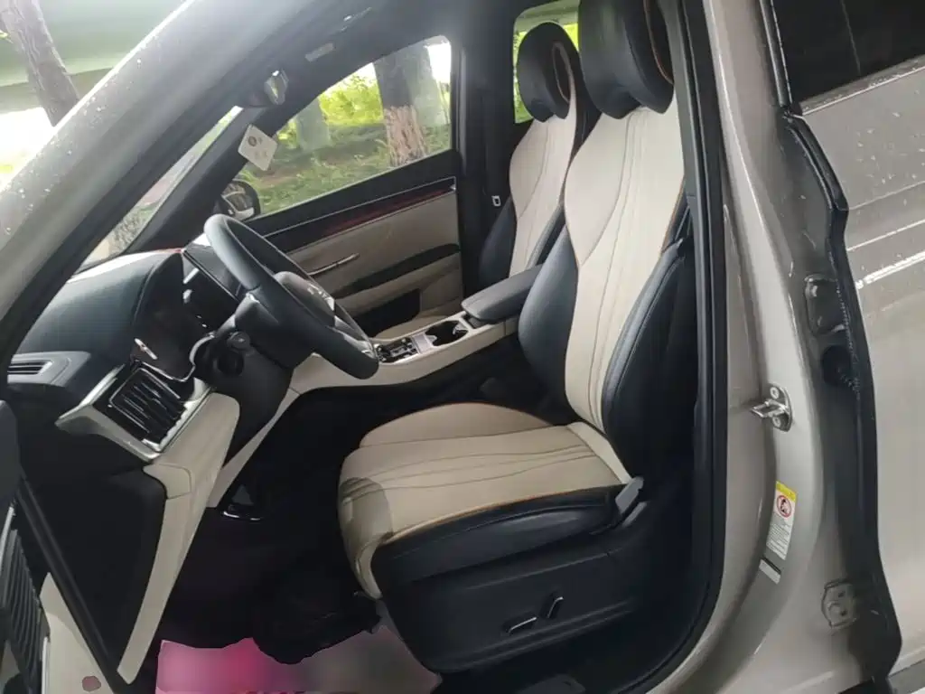 BYD PLUS New Energy — фото 15