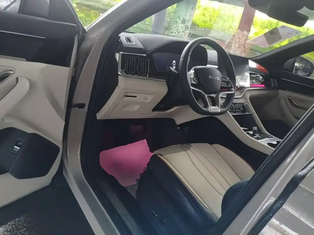 BYD PLUS New Energy — фото 16