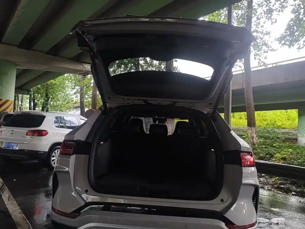 BYD PLUS New Energy — фото 19