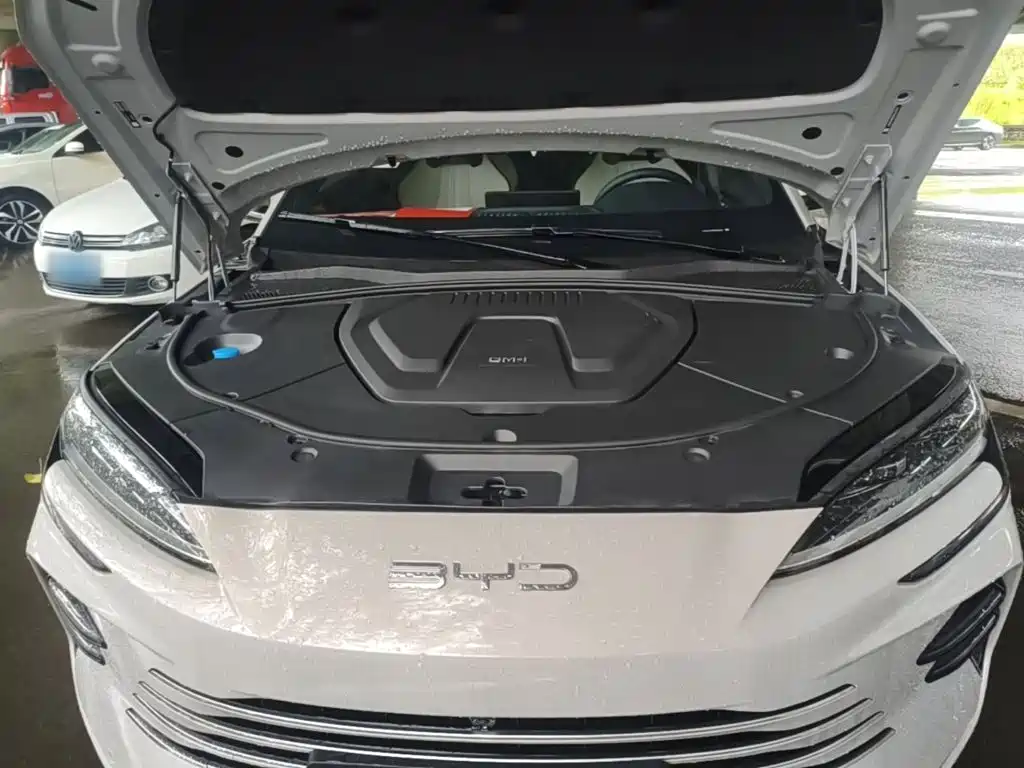 BYD PLUS New Energy — фото 20
