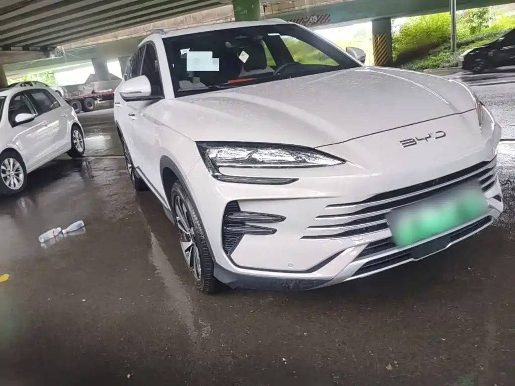 BYD PLUS New Energy — фото 4