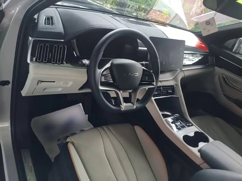 BYD PLUS New Energy — фото 10
