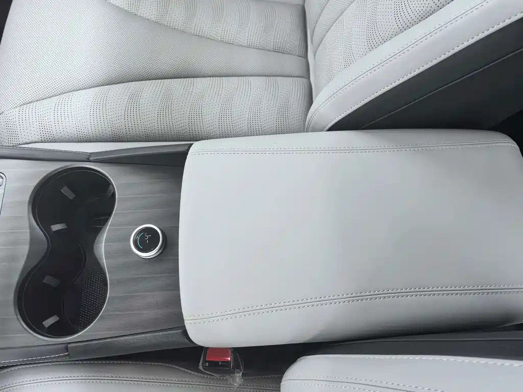 BYD Seal 06 DM-i Touring — фото 14