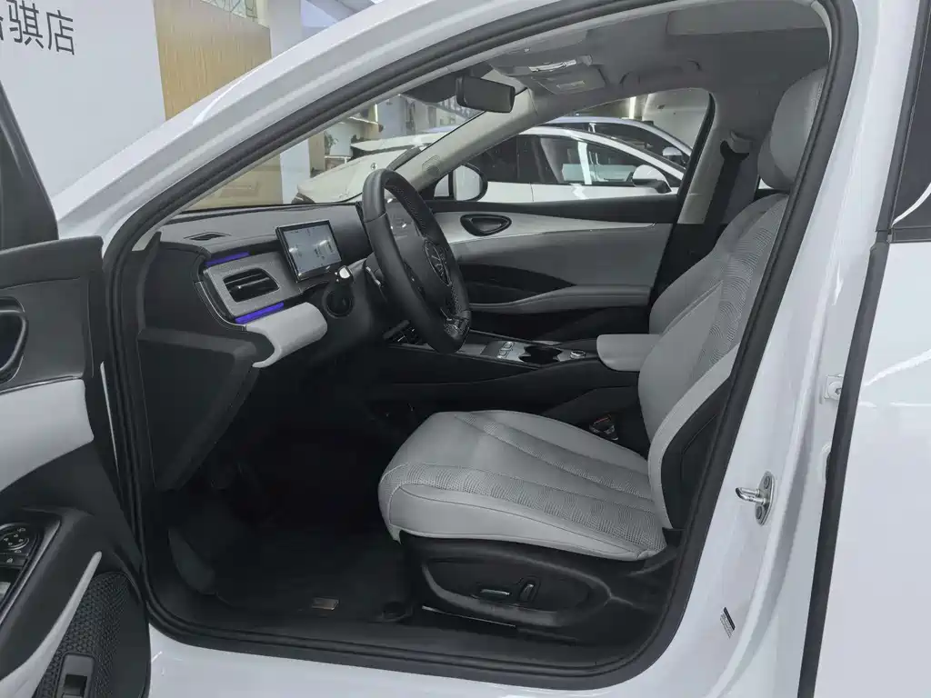 BYD Seal 06 DM-i Touring — фото 17