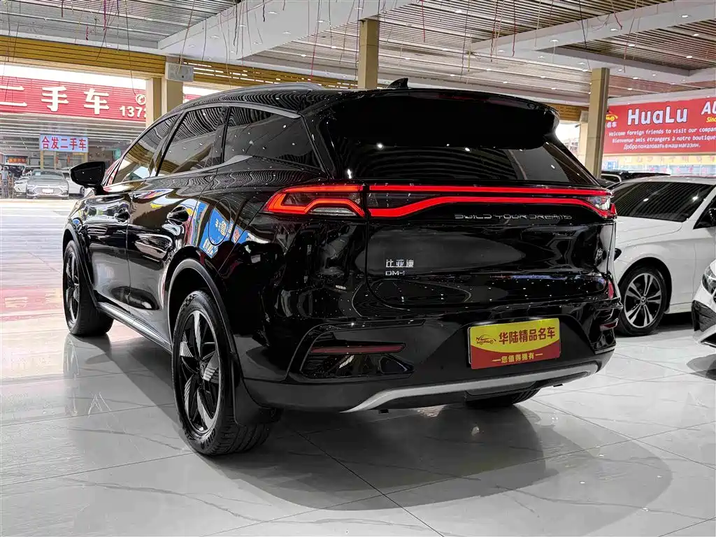 BYD Tang New Energy — фото 4