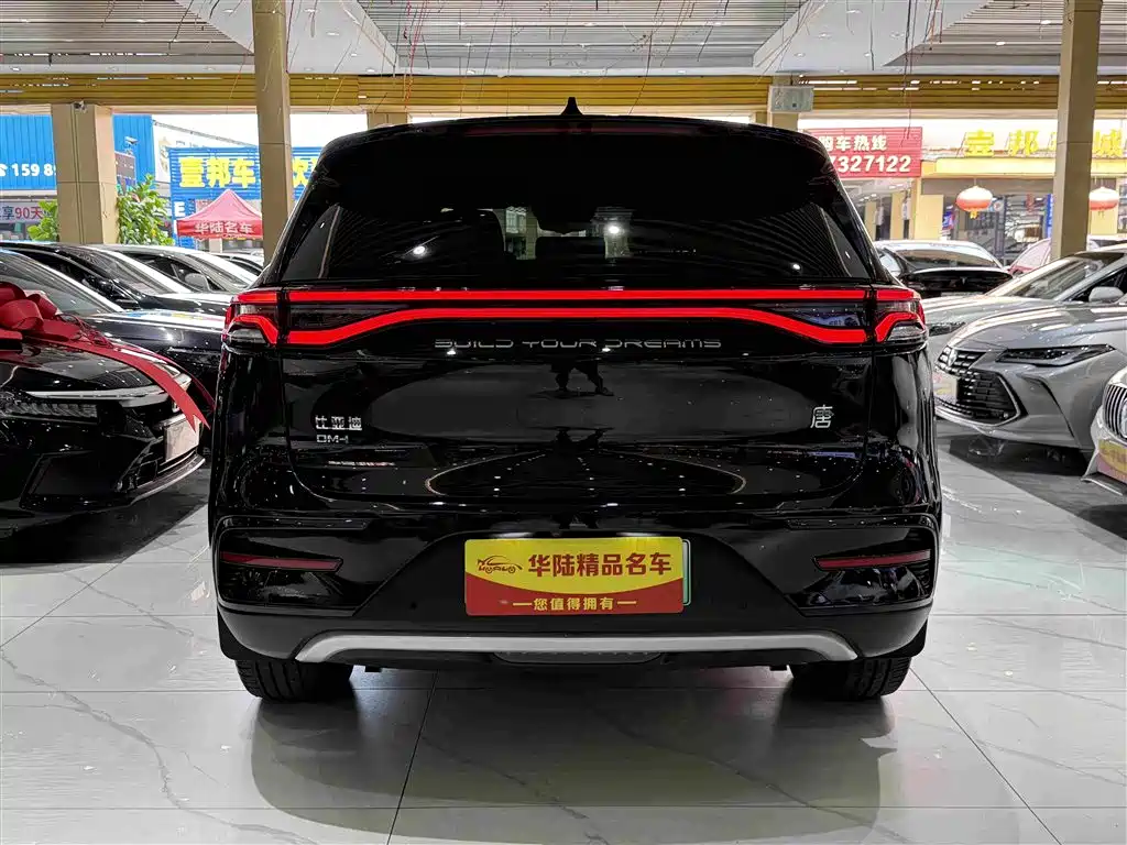 BYD Tang New Energy — фото 5