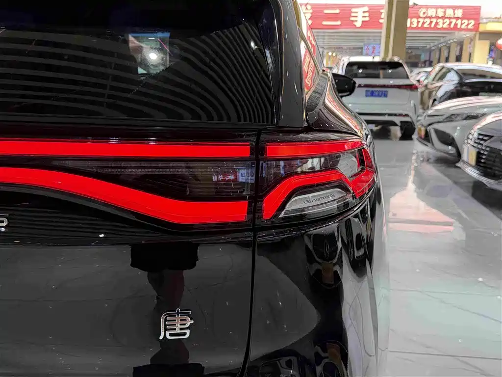 BYD Tang New Energy — фото 8
