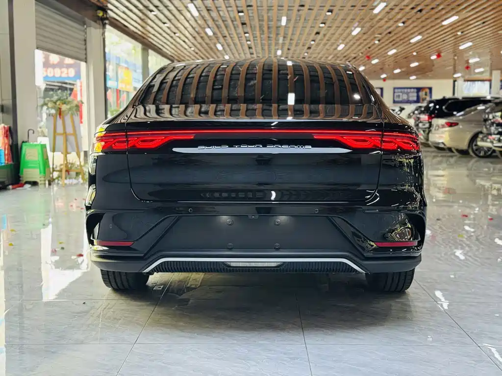 BYD Han — фото 19