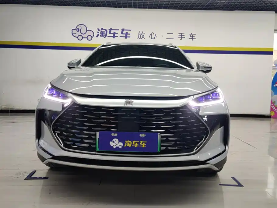 BYD Tang New Energy — фото 2