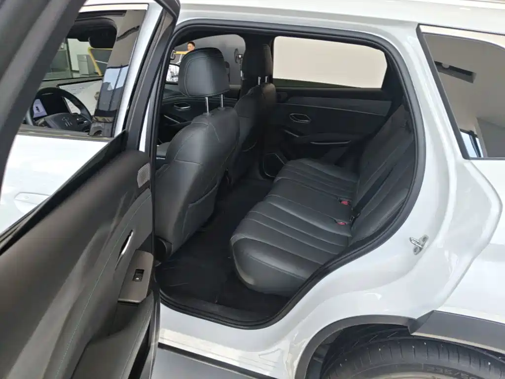 BYD L DM-i — фото 17