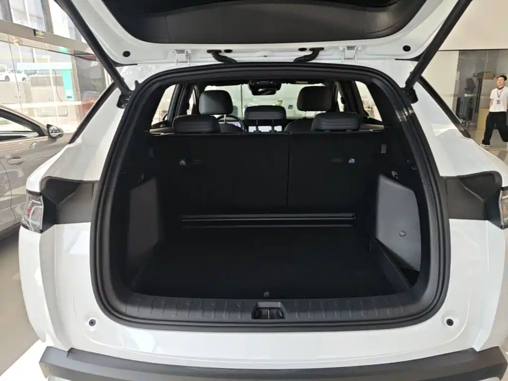 BYD L DM-i — фото 19