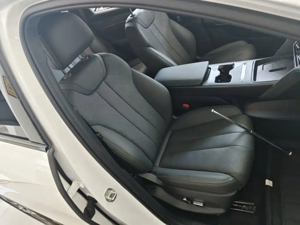 BYD L DM-i — фото 25