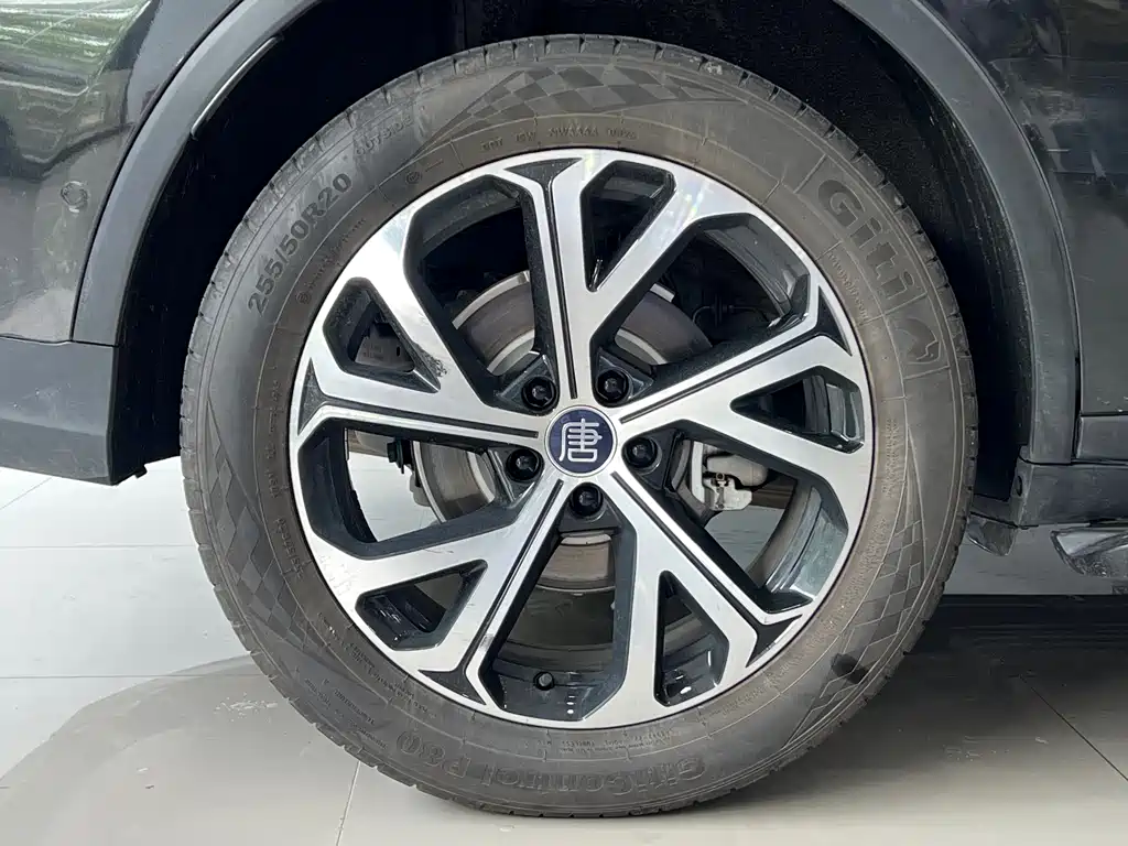 BYD Tang New Energy — фото 11