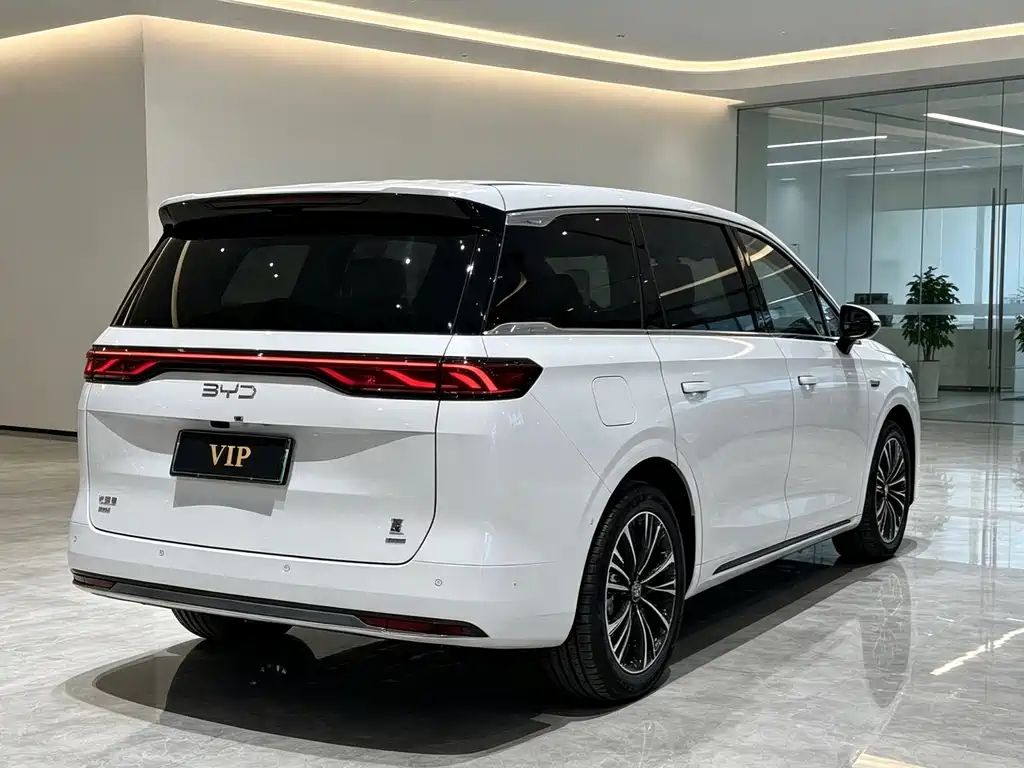 BYD Xia — фото 4