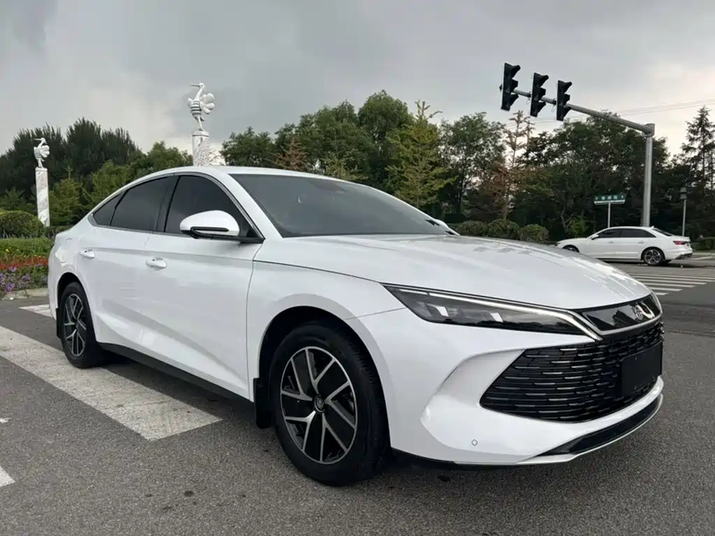 BYD Qin L — фото 14