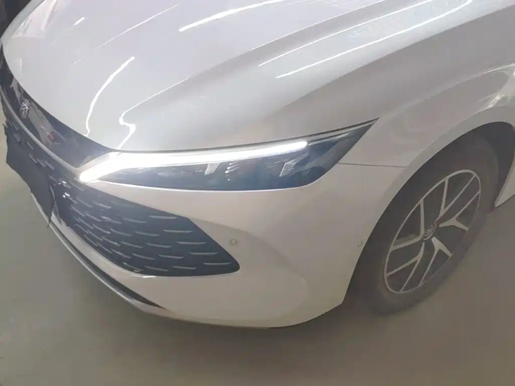 BYD Qin L — фото 24
