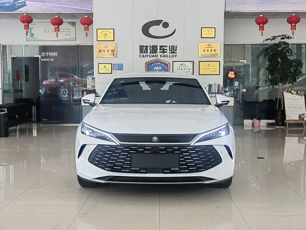BYD Qin L — фото 2