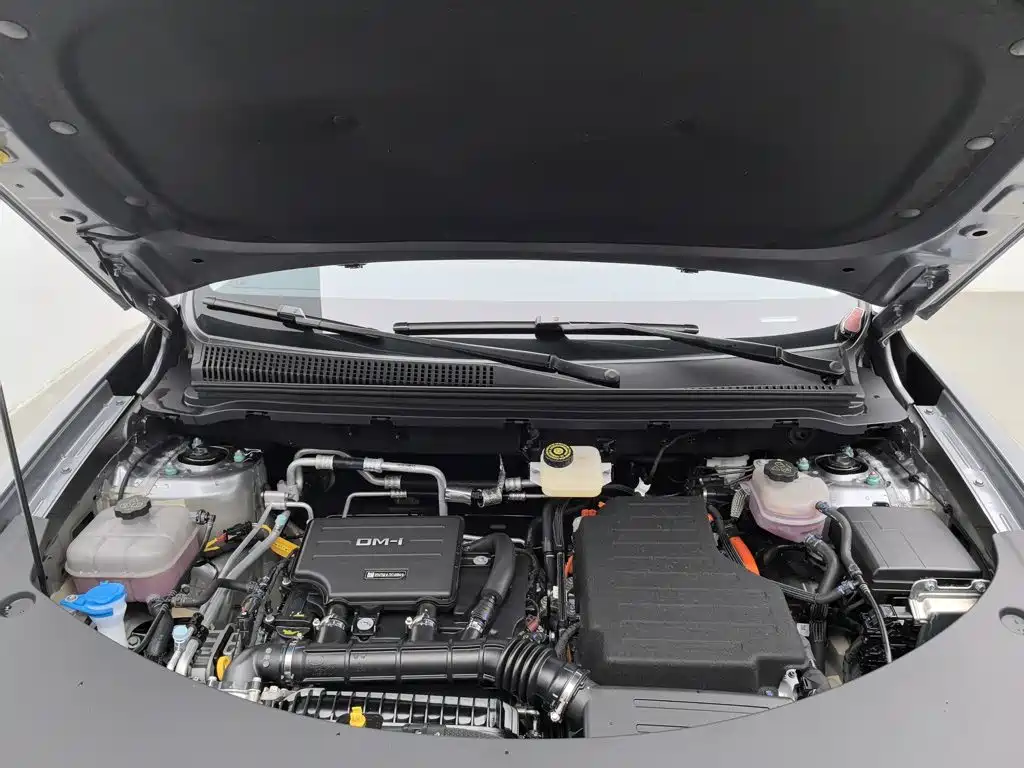 BYD Pro New Energy — фото 6