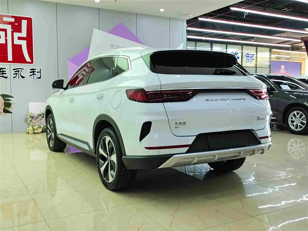 BYD PLUS New Energy — фото 6