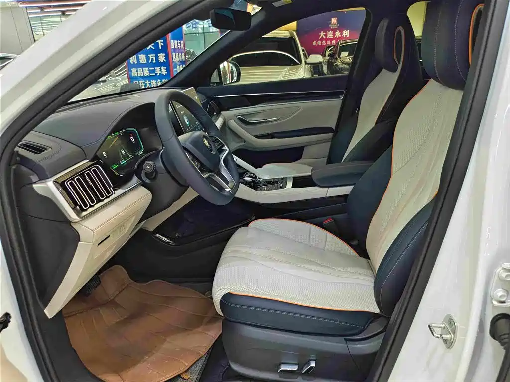 BYD PLUS New Energy — фото 8