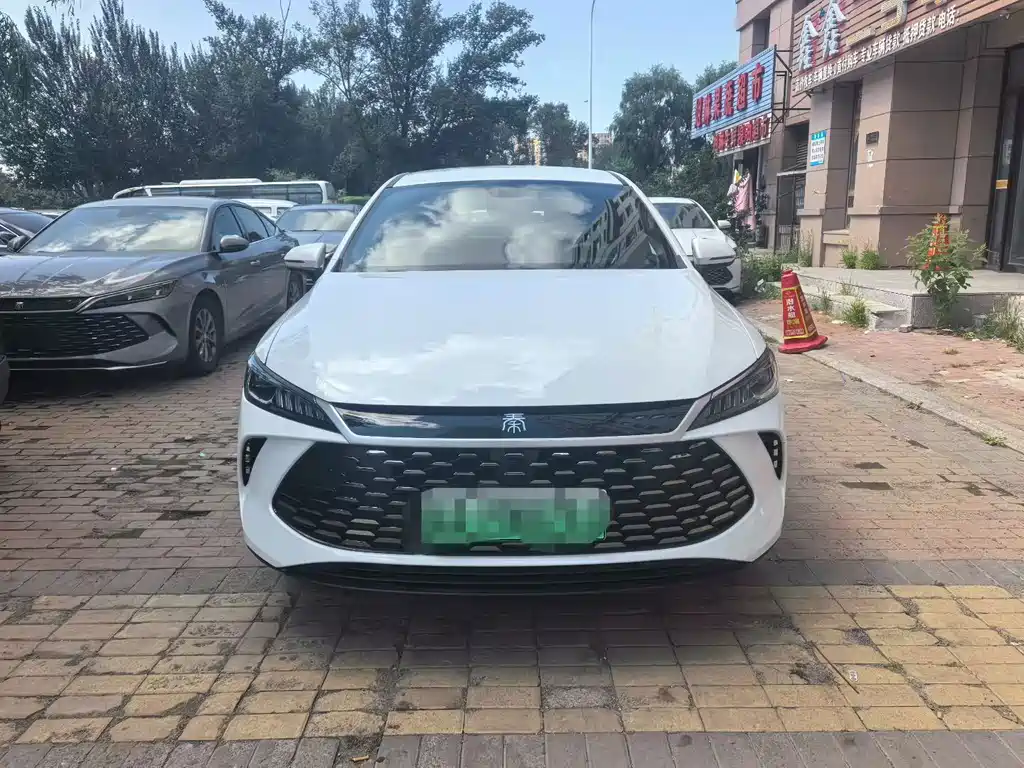 BYD Qin PLUS — фото 2