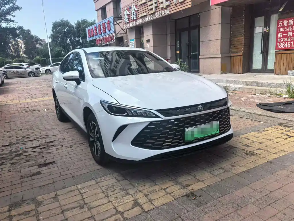 BYD Qin PLUS — фото 3