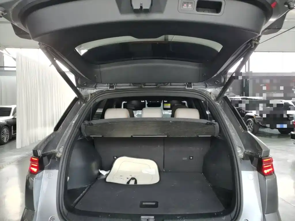 BYD Pro New Energy — фото 19