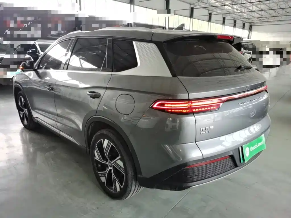 BYD Pro New Energy — фото 5