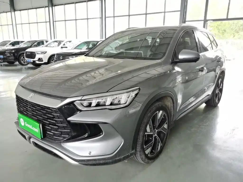 BYD Pro New Energy