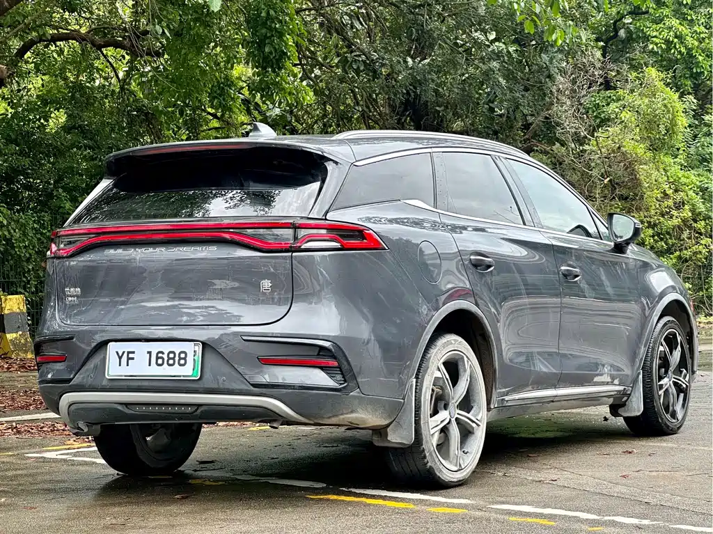 BYD Tang New Energy — фото 13