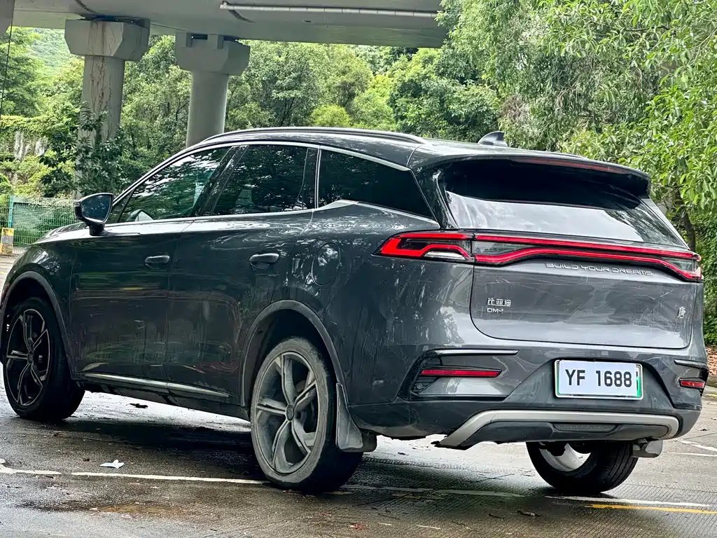 BYD Tang New Energy — фото 15
