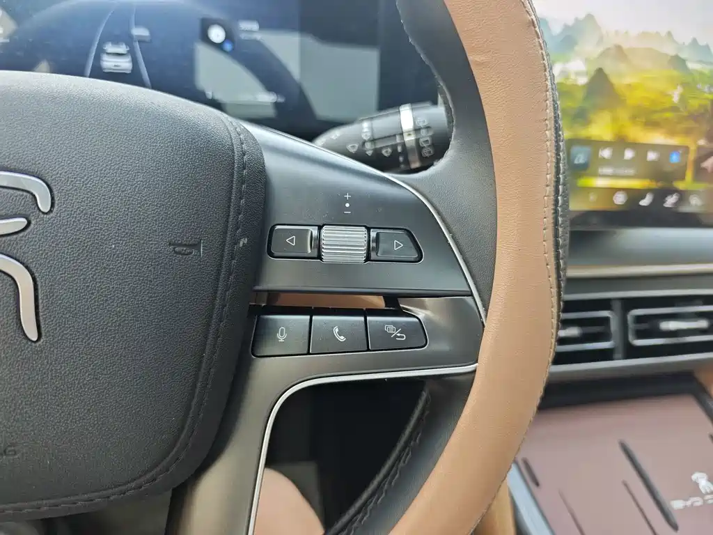 BYD L DM-i — фото 25