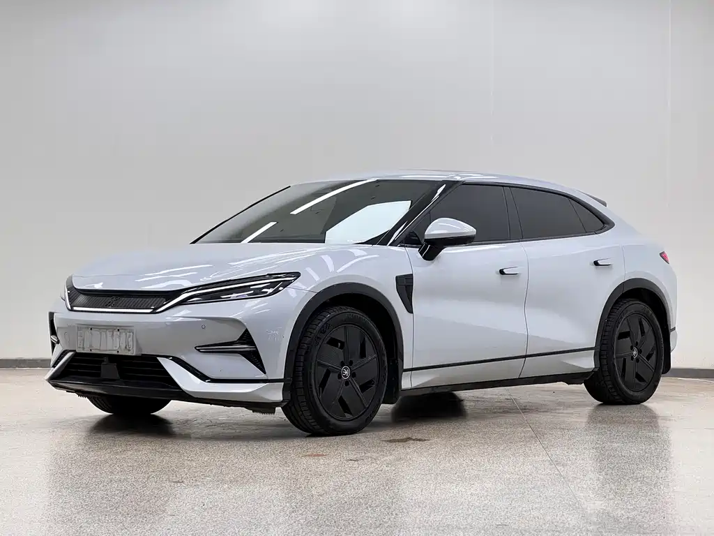 BYD L EV