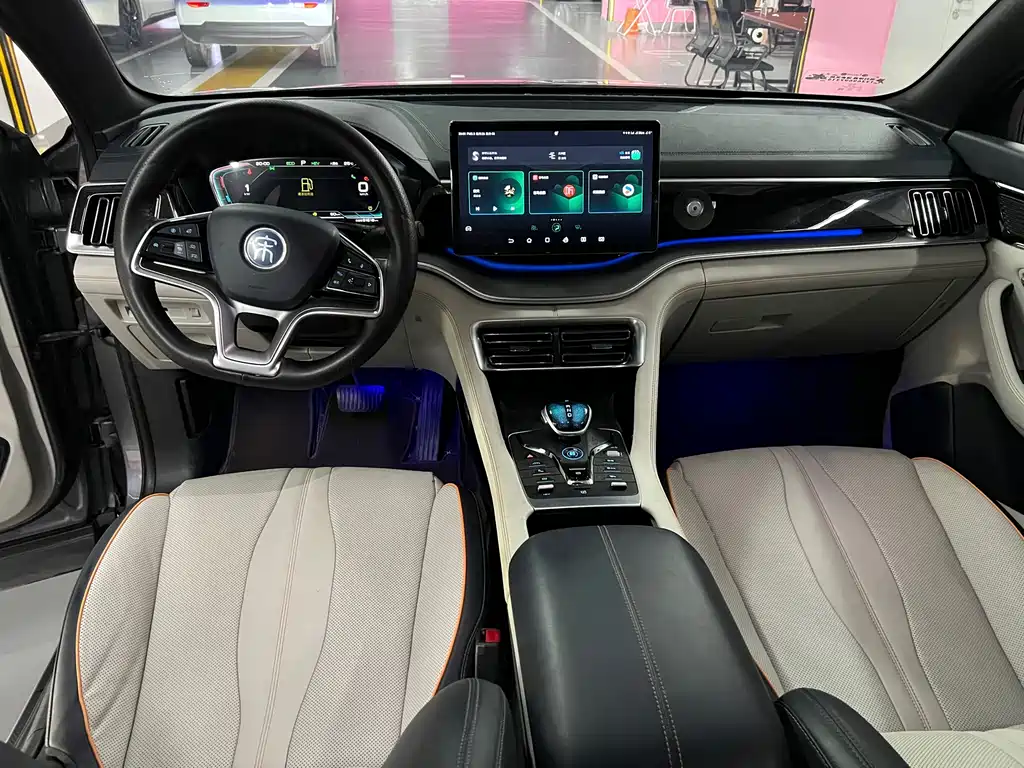 BYD PLUS New Energy — фото 7