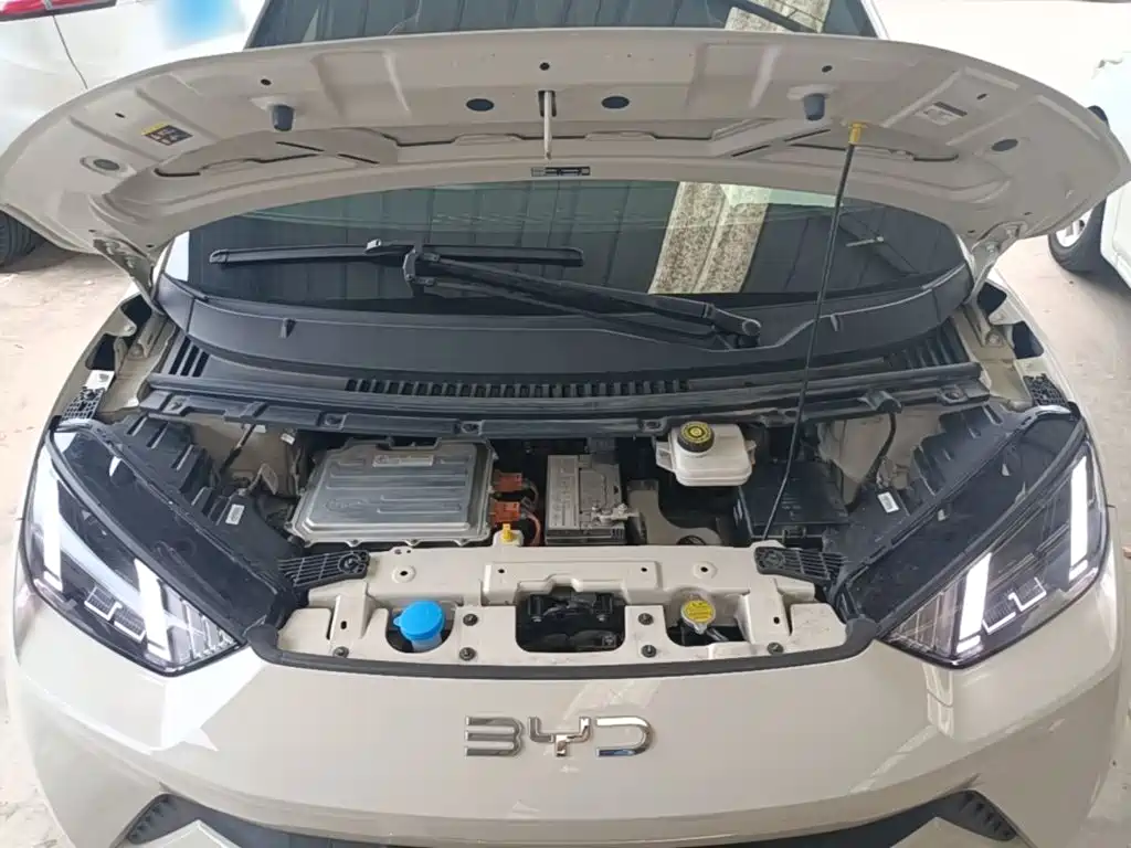 BYD Seagull — фото 20