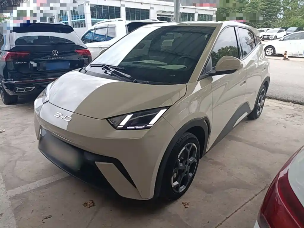 BYD Seagull