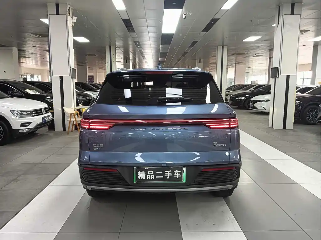 BYD Pro New Energy — фото 12