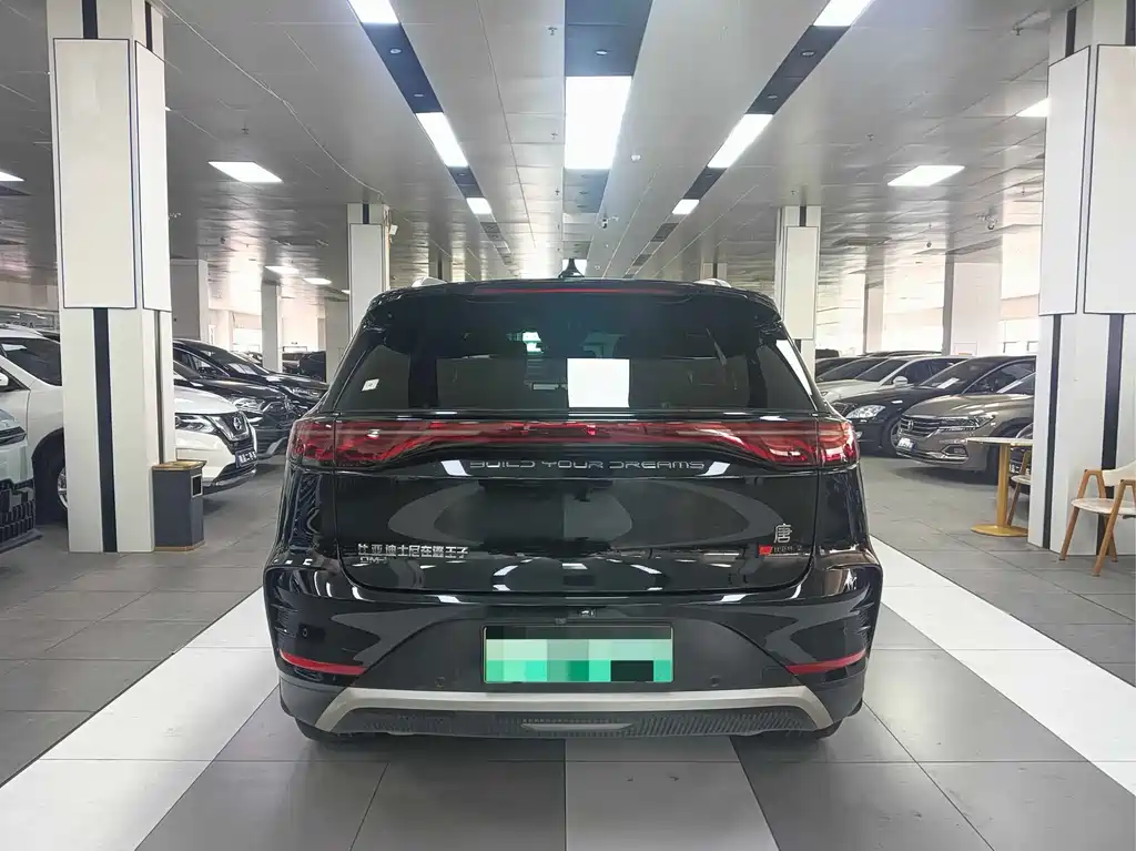 BYD Tang New Energy — фото 11