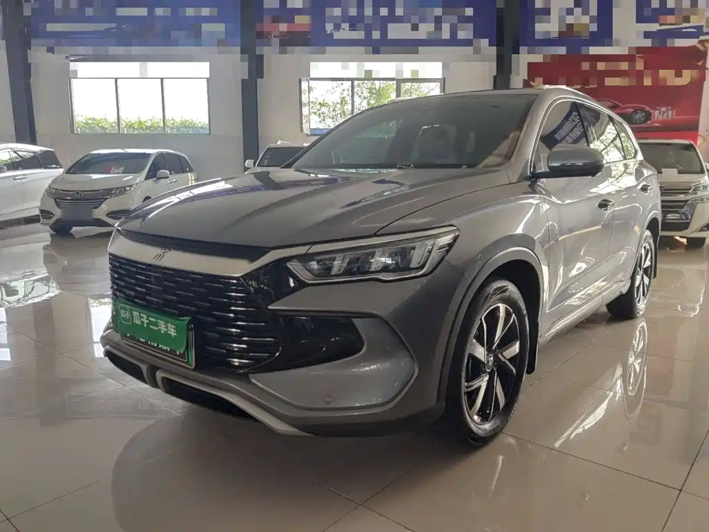 BYD Pro New Energy — фото 2