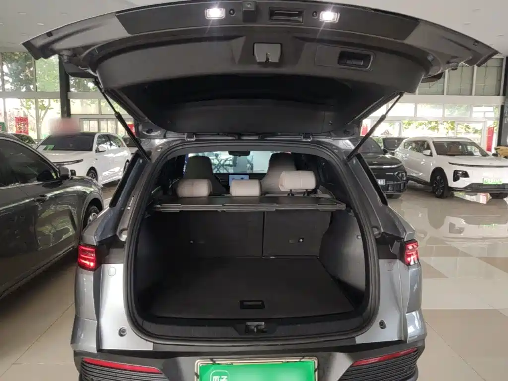 BYD Pro New Energy — фото 19