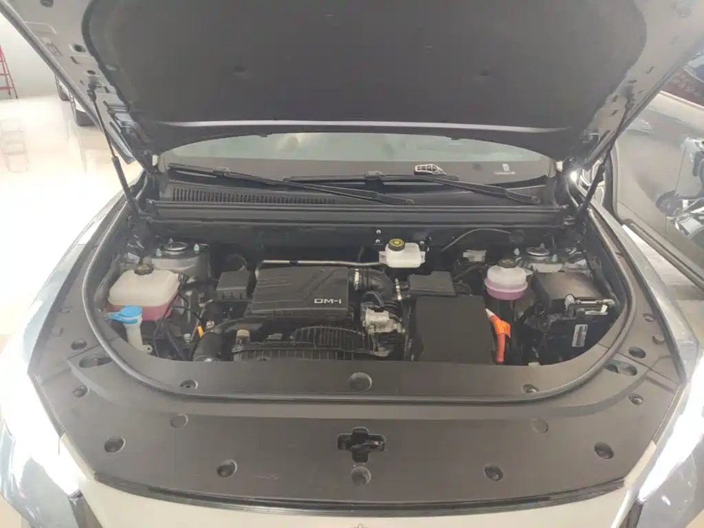 BYD Pro New Energy — фото 20